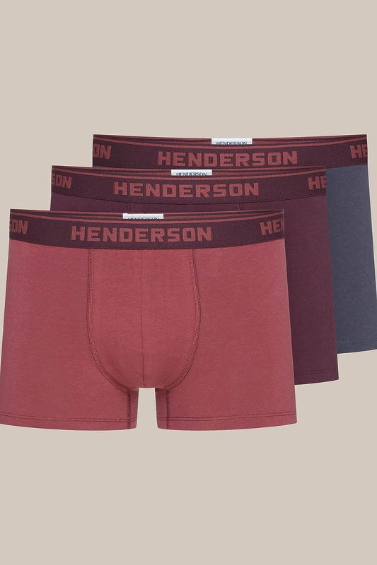  L`ensemble model 199563 Henderson 