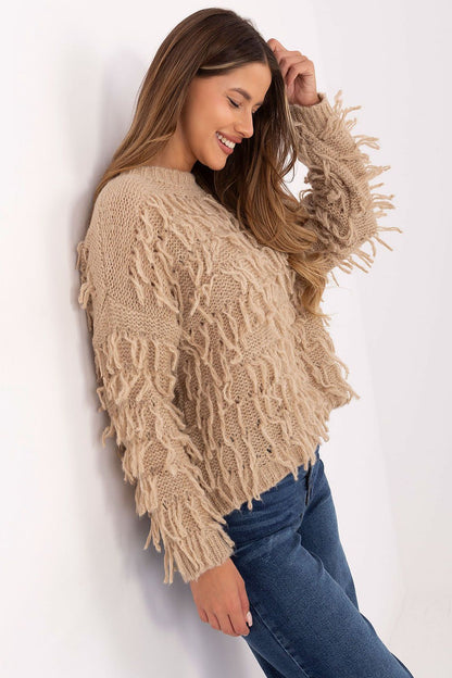  Chandail model 217057 Rue Paris 