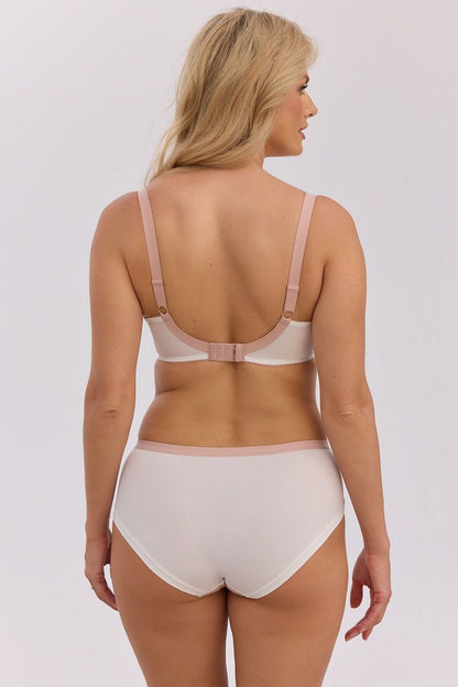  Semi-soft model 228492 Gaia 