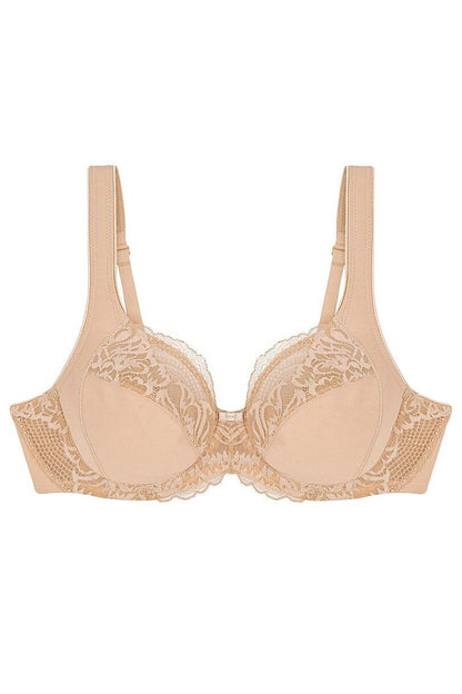  Soft model 229105 Triumph 