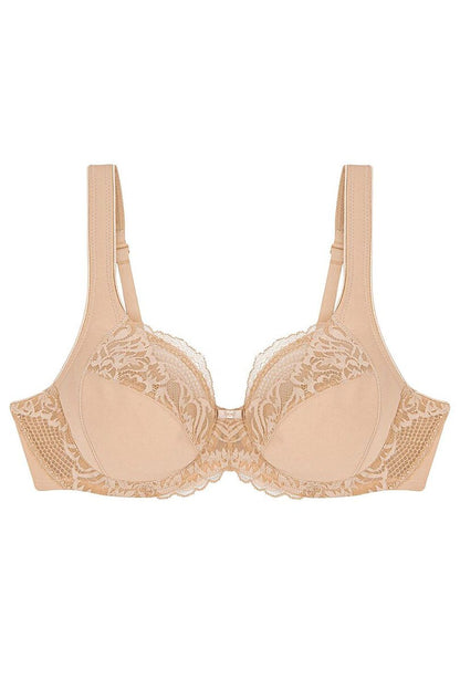  Soft model 229106 Triumph 