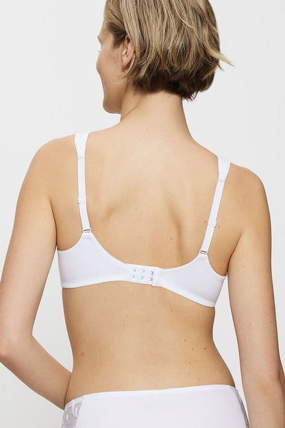  Soft model 229108 Triumph 