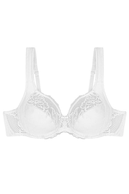  Soft model 229108 Triumph 