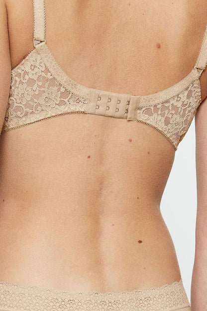  Soft model 229327 Triumph 