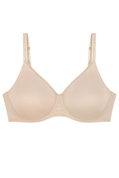  Soft model 229362 Triumph 