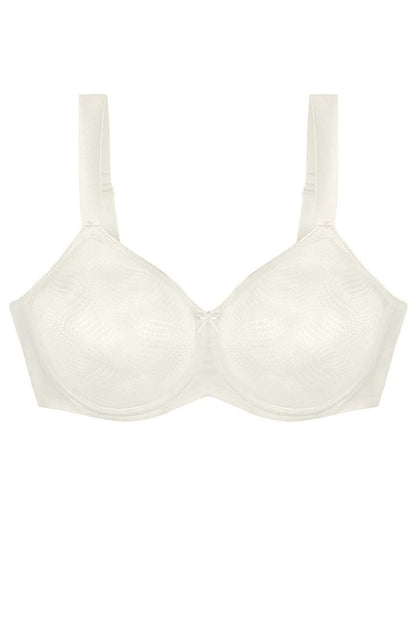  Soft model 230705 Triumph 