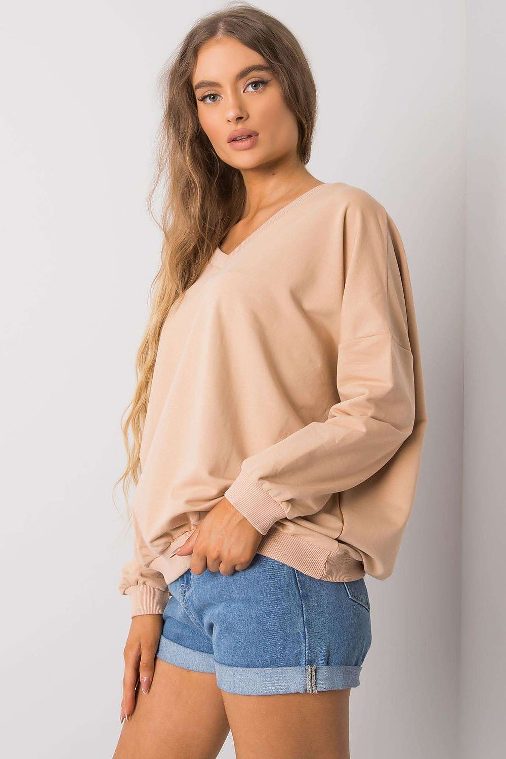 Sweatshirt style 162140 Fancy