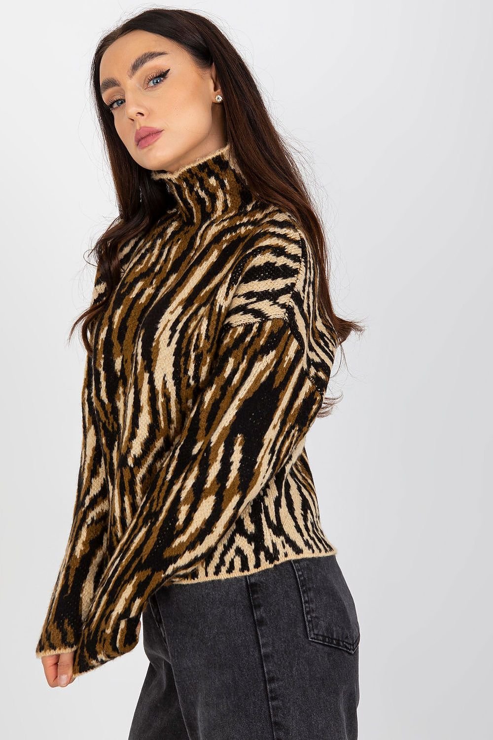 Sweater model 171679 EM