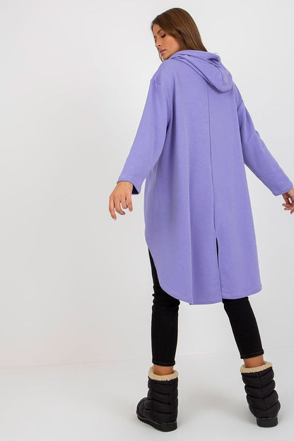 Sweatshirt style 174713 Fancy