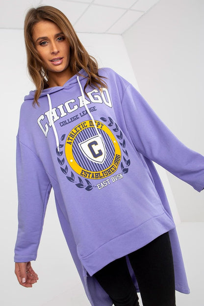 Sweatshirt style 174713 Fancy