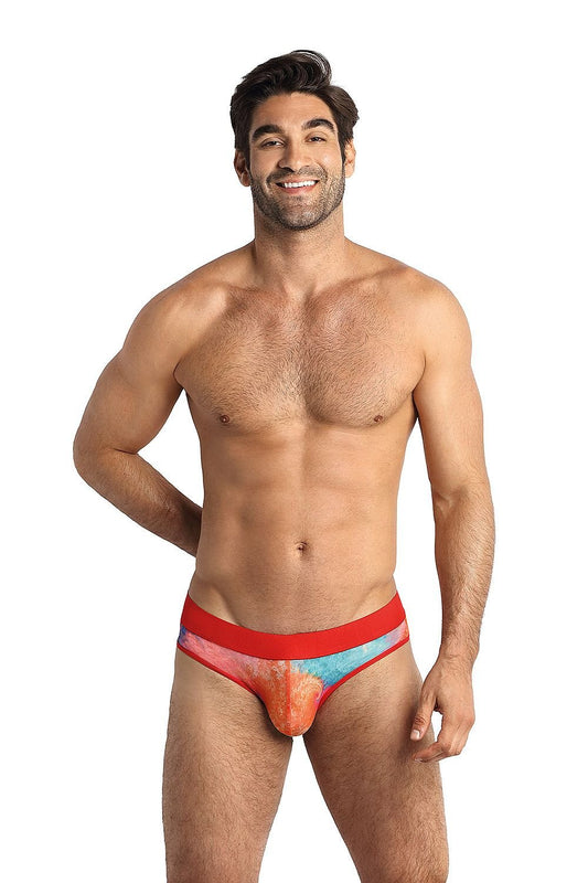Briefs style 181804 Anais