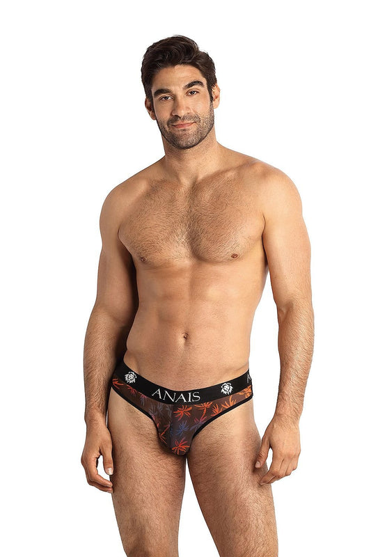 Briefs model 181806 Anais