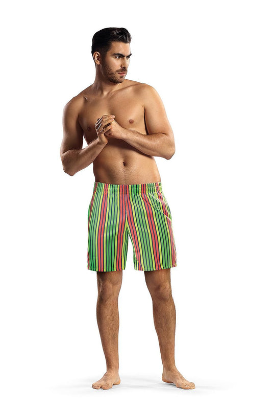 Swim brief model 182806 Lorin