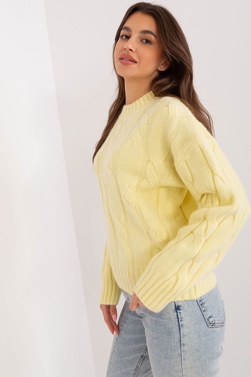 Sweater model 186554 AT