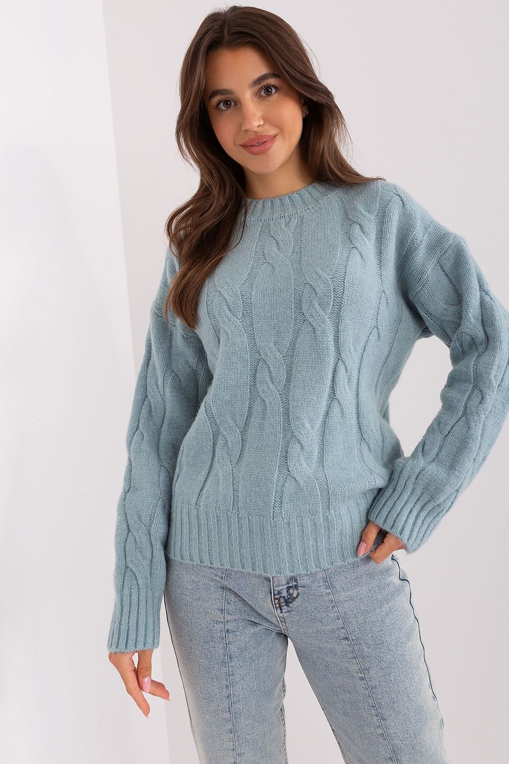 Sweater model 186554 AT