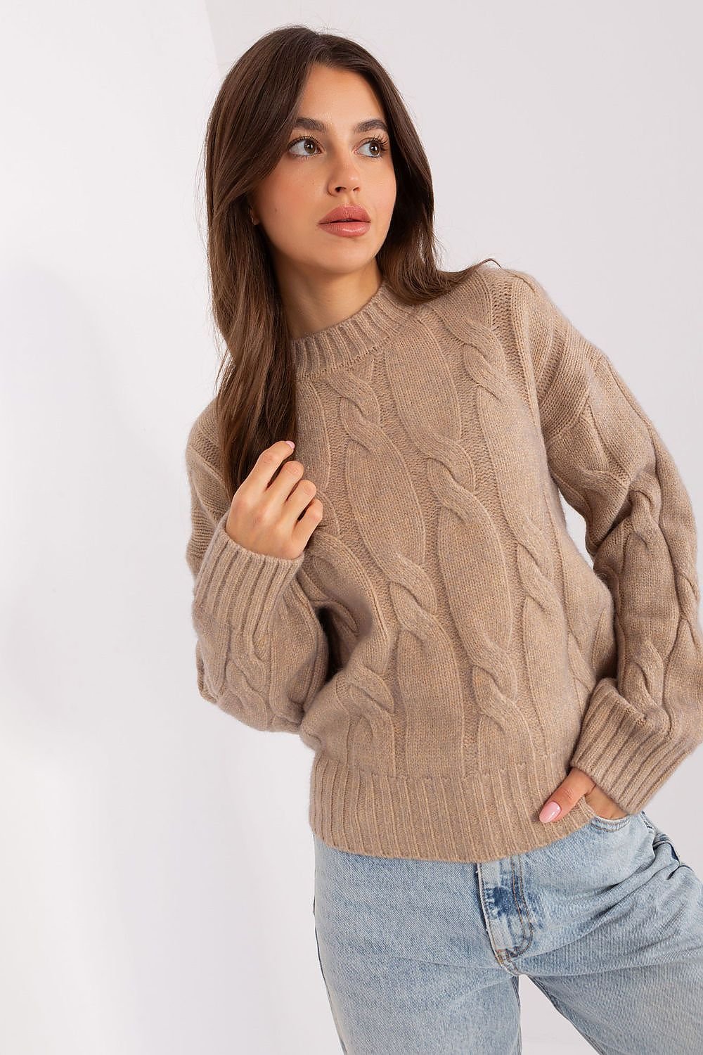 Sweater model 186554 AT