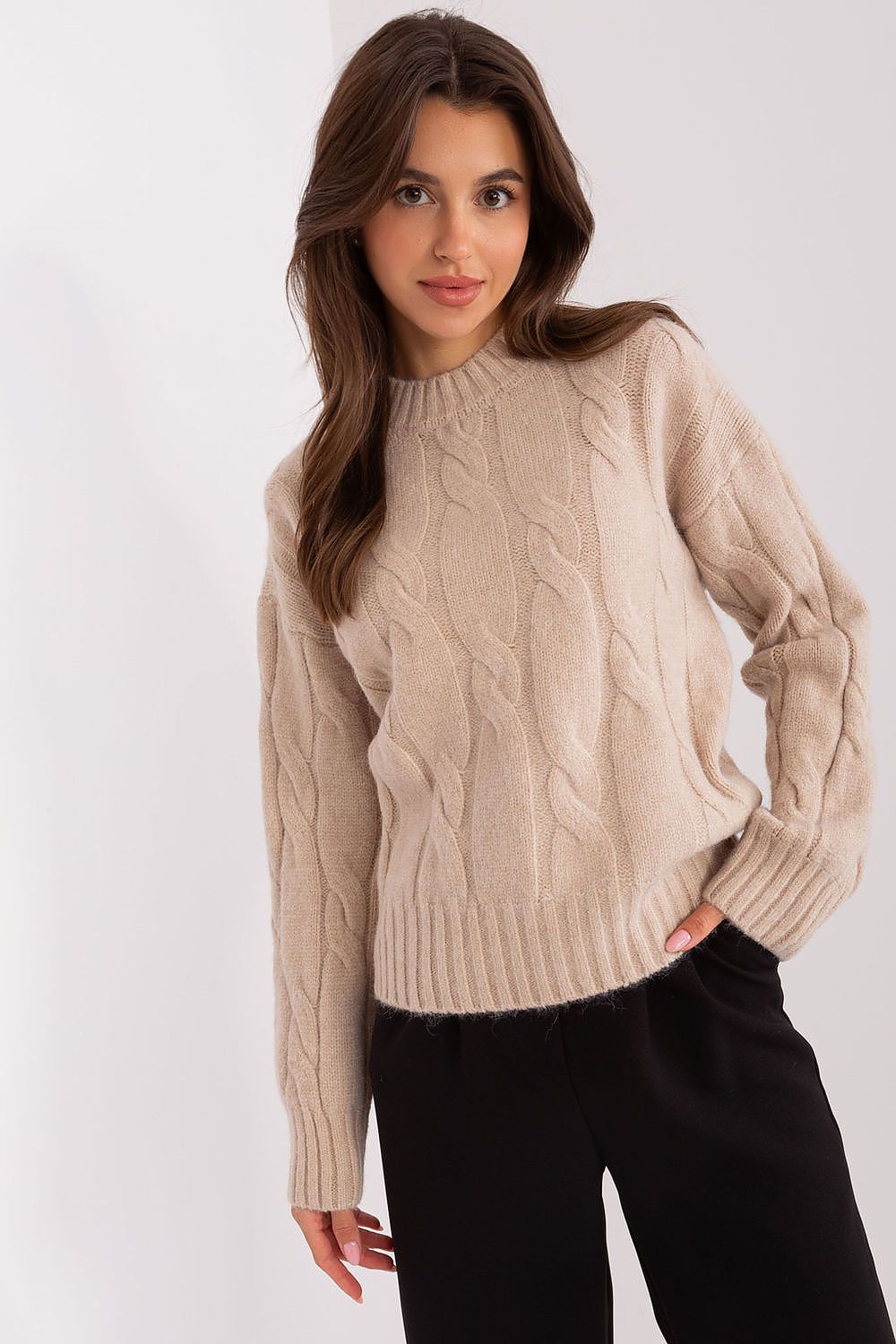 Sweater model 186554 AT