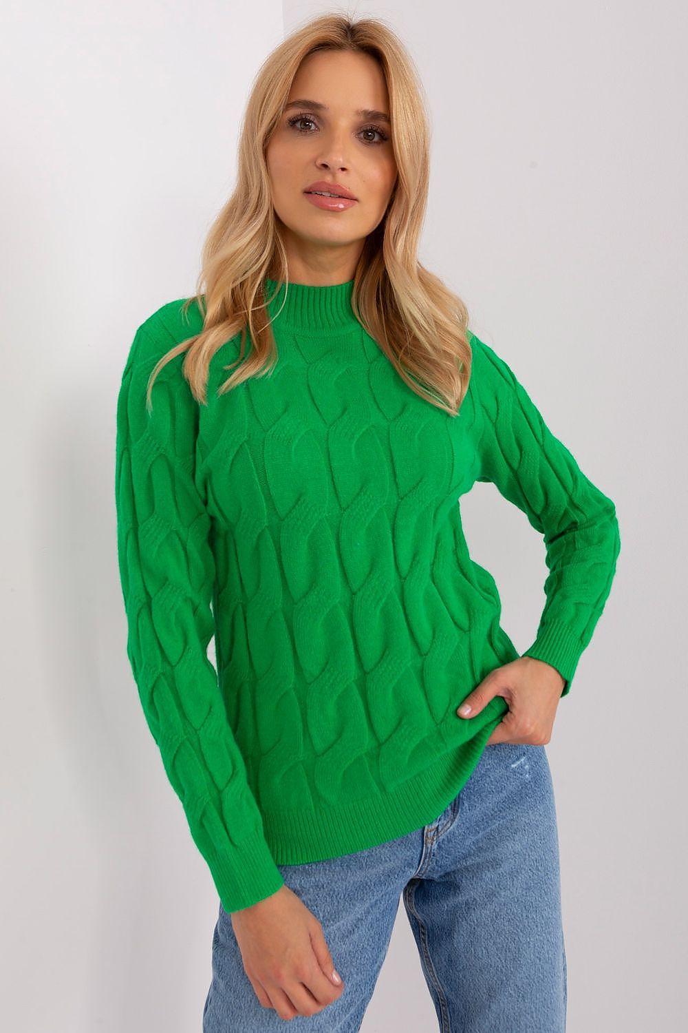 Sweater model 199541 AT