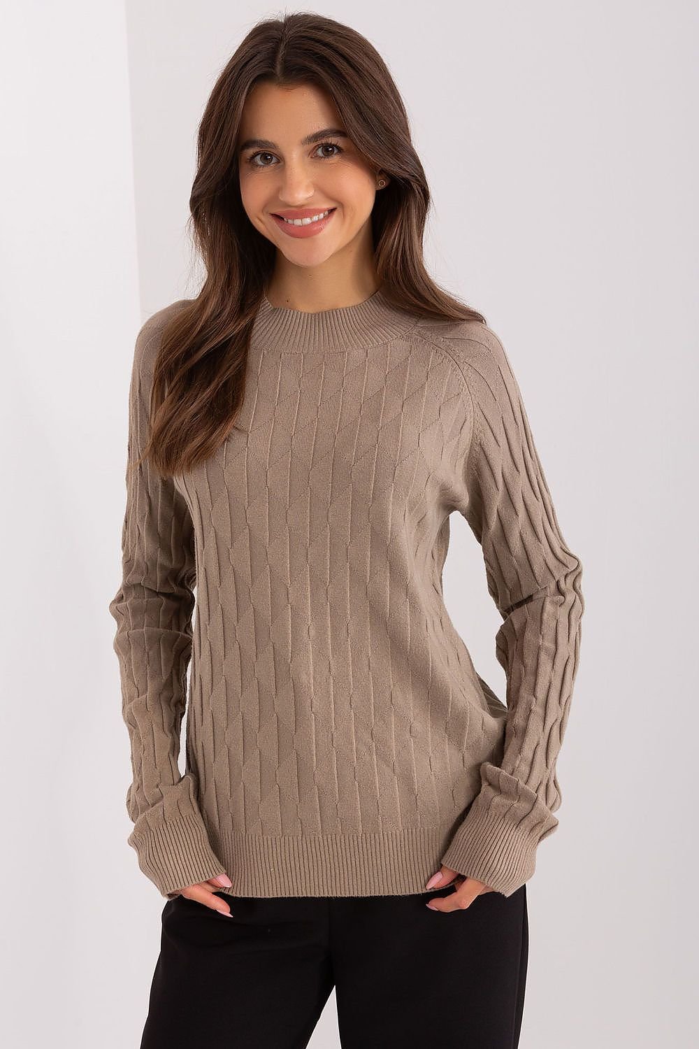 Sweater model 186833 AT