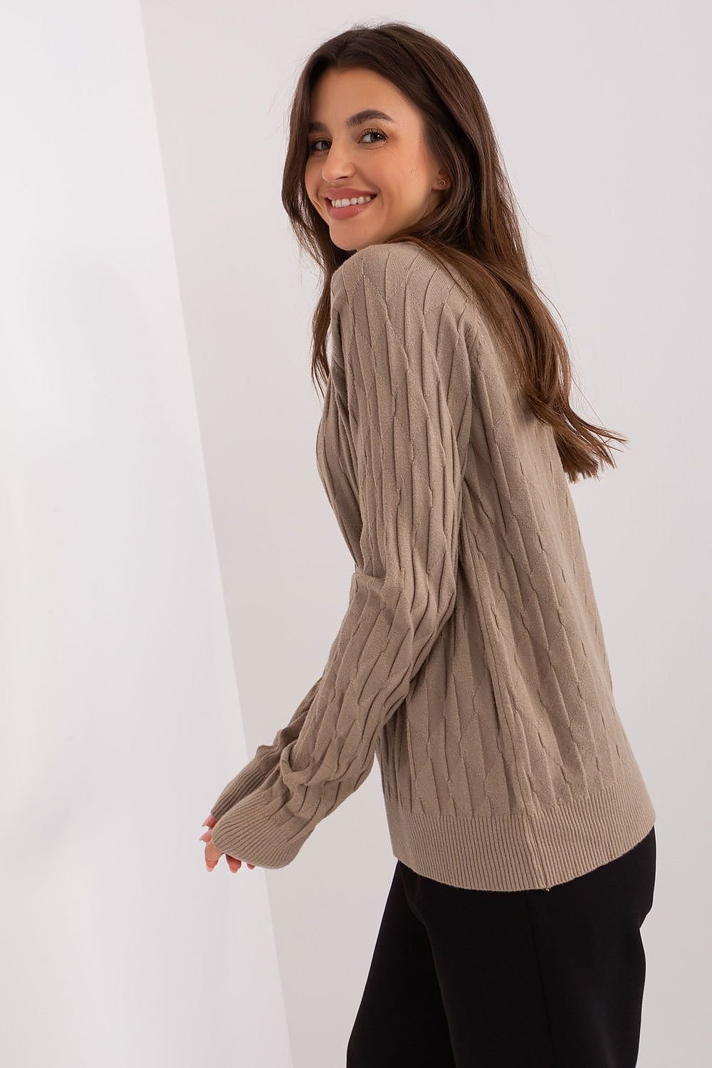 Sweater model 186833 AT