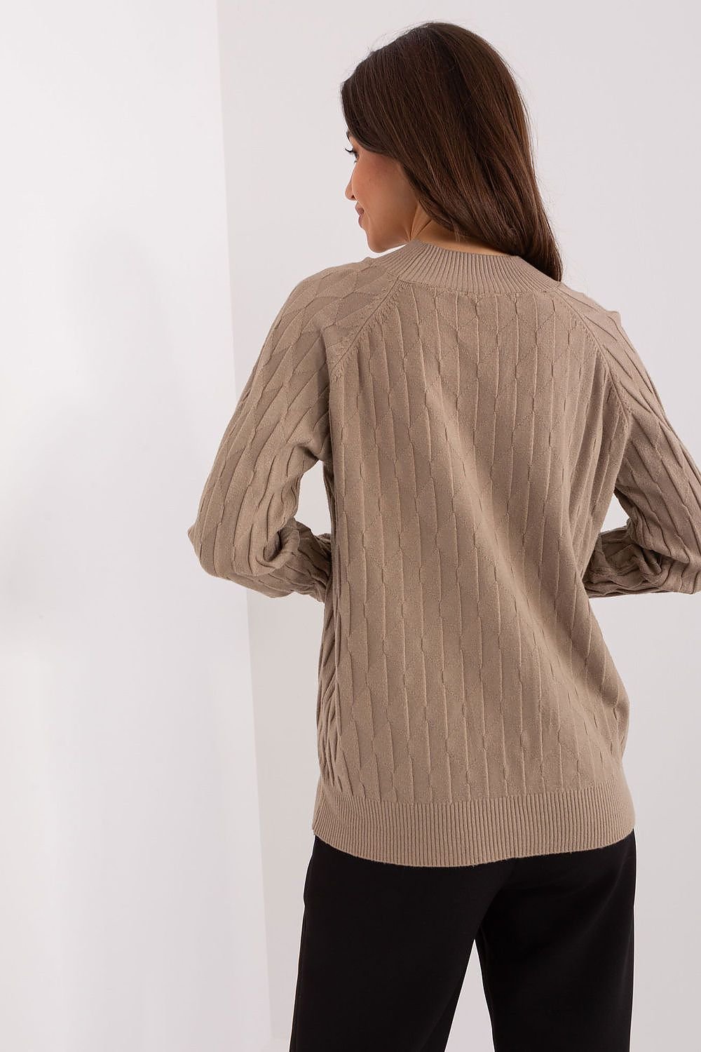Sweater model 186833 AT