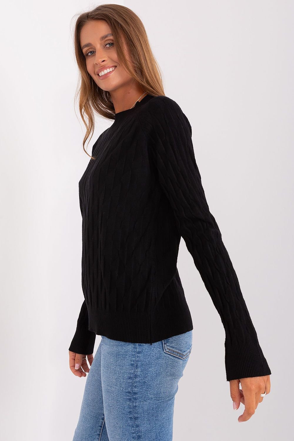 Sweater model 186833 AT
