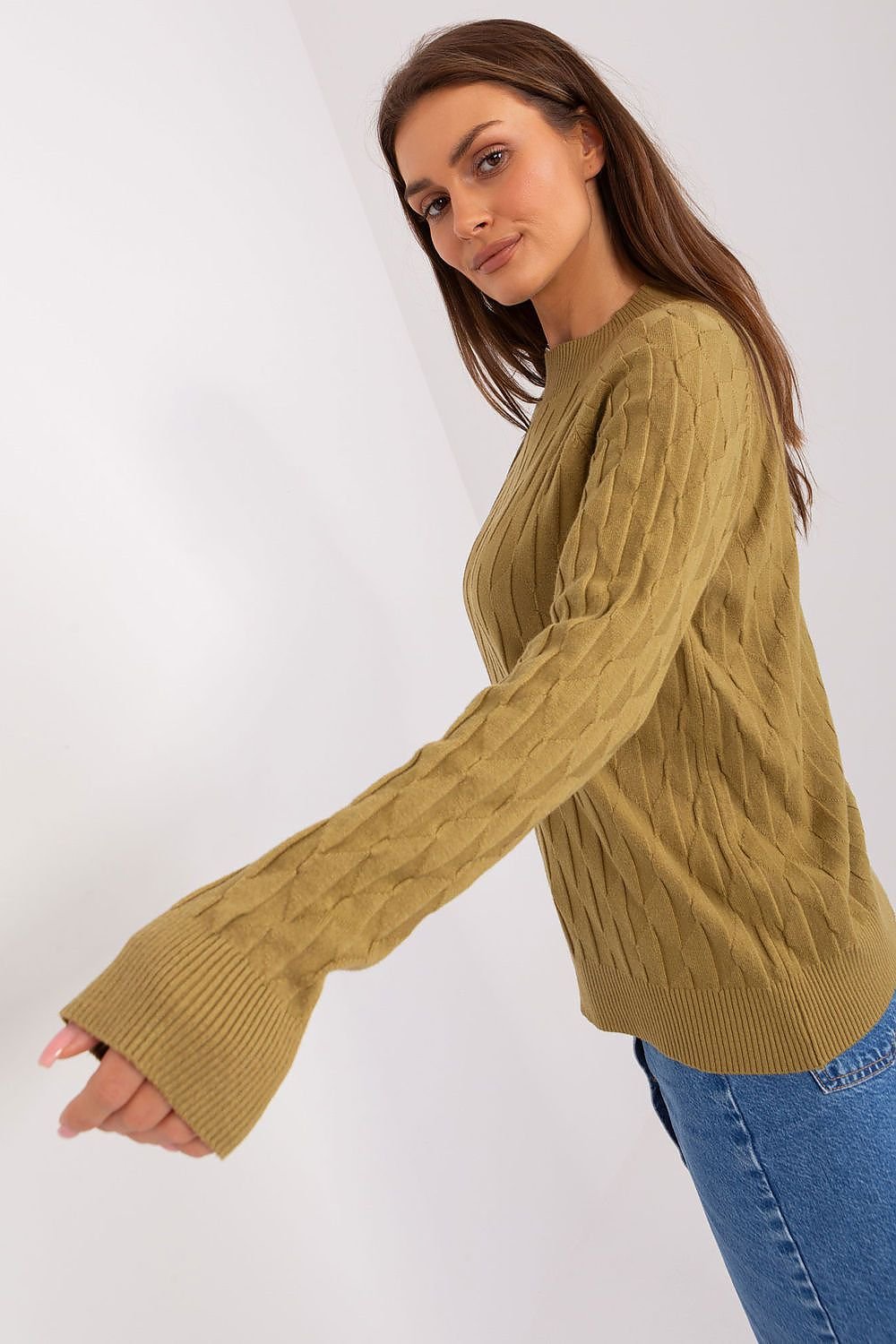Sweater model 186833 AT