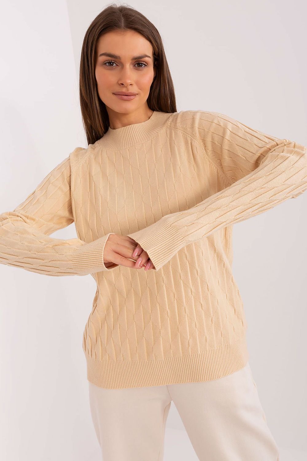 Sweater model 186833 AT